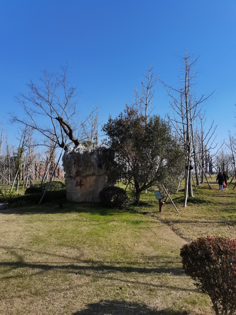 义乌森山小镇中国铁皮石斛地理公园 元旦天气不错带孩子出来开心开心