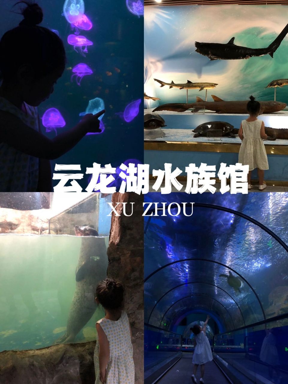 要说有着徐州回忆的地方,水族馆必须在列呀 位于在云龙湖的中心,地方