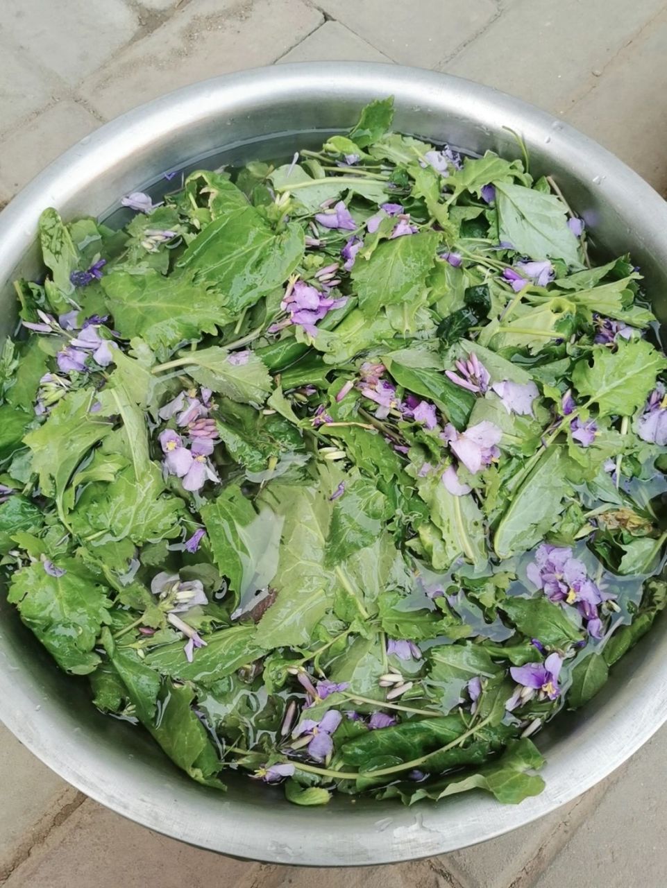 诸葛菜又见二月兰,大家吃过吗?