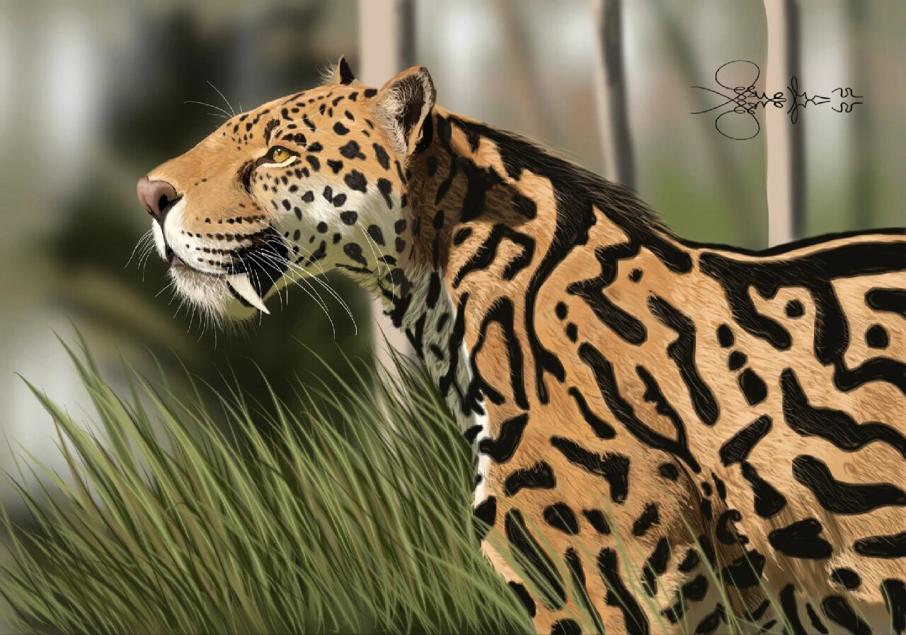 意外.巨颏虎图源twitter