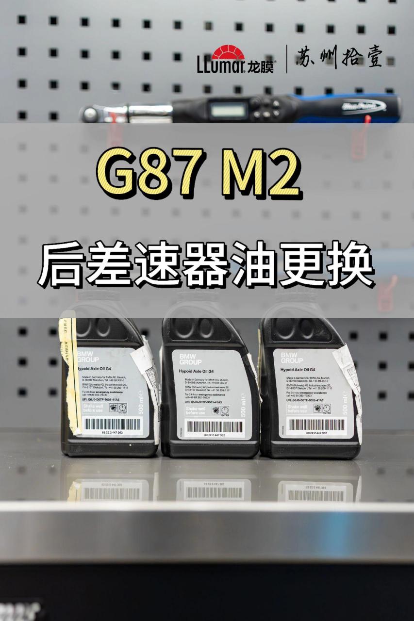 宝马m2后差速器保养.