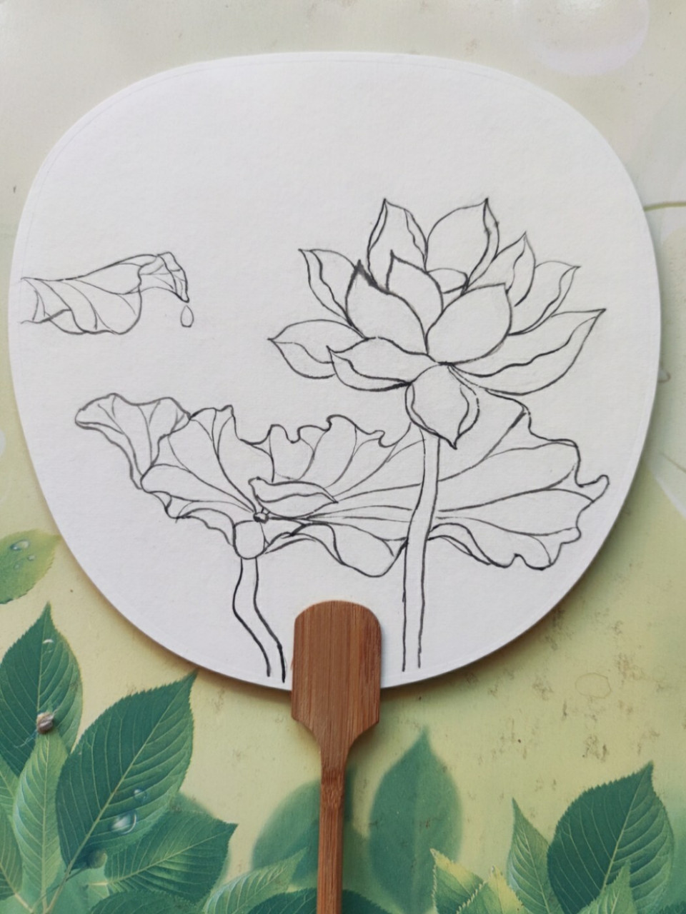 手绘荷花团扇 看到了摄影师 特别好看的照片,画了一把团扇.