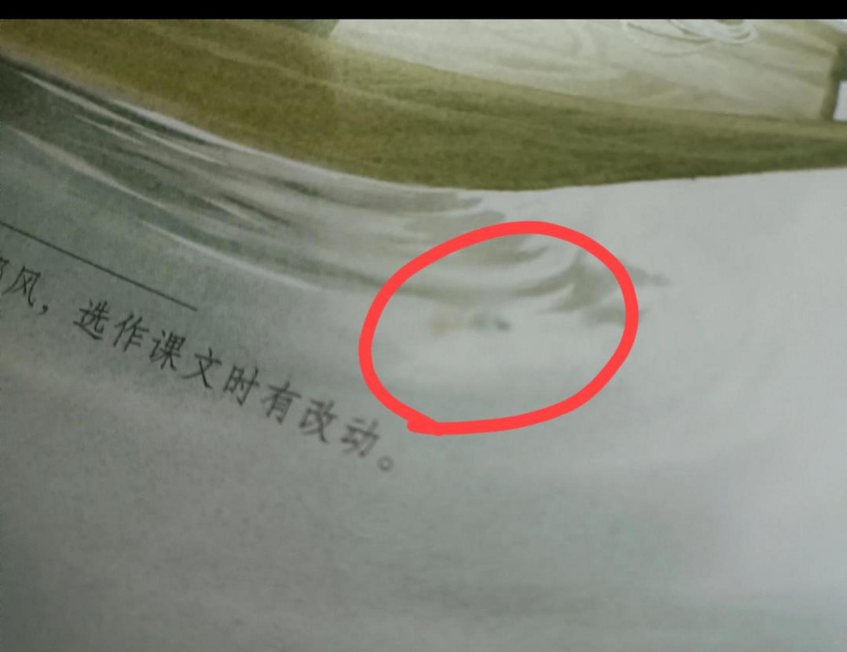 第一幅图是三年级上册第五单元第15课搭船的鸟.