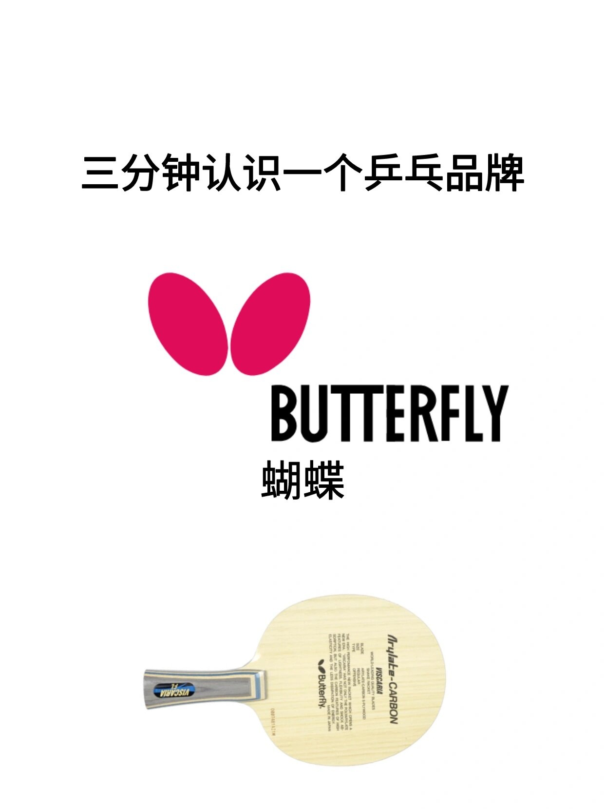 宝藏分享|乒乓球品牌介绍|蝴蝶(下) 三分钟带你认识一个乒乓品牌 	 1