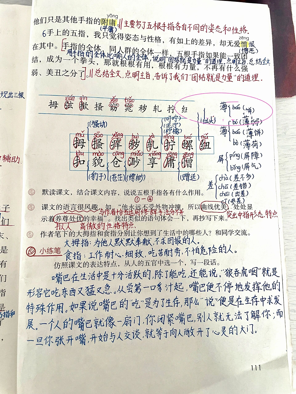 《手指》 部编本 五年级下册语文 第八单元第22课《手指》课堂笔记