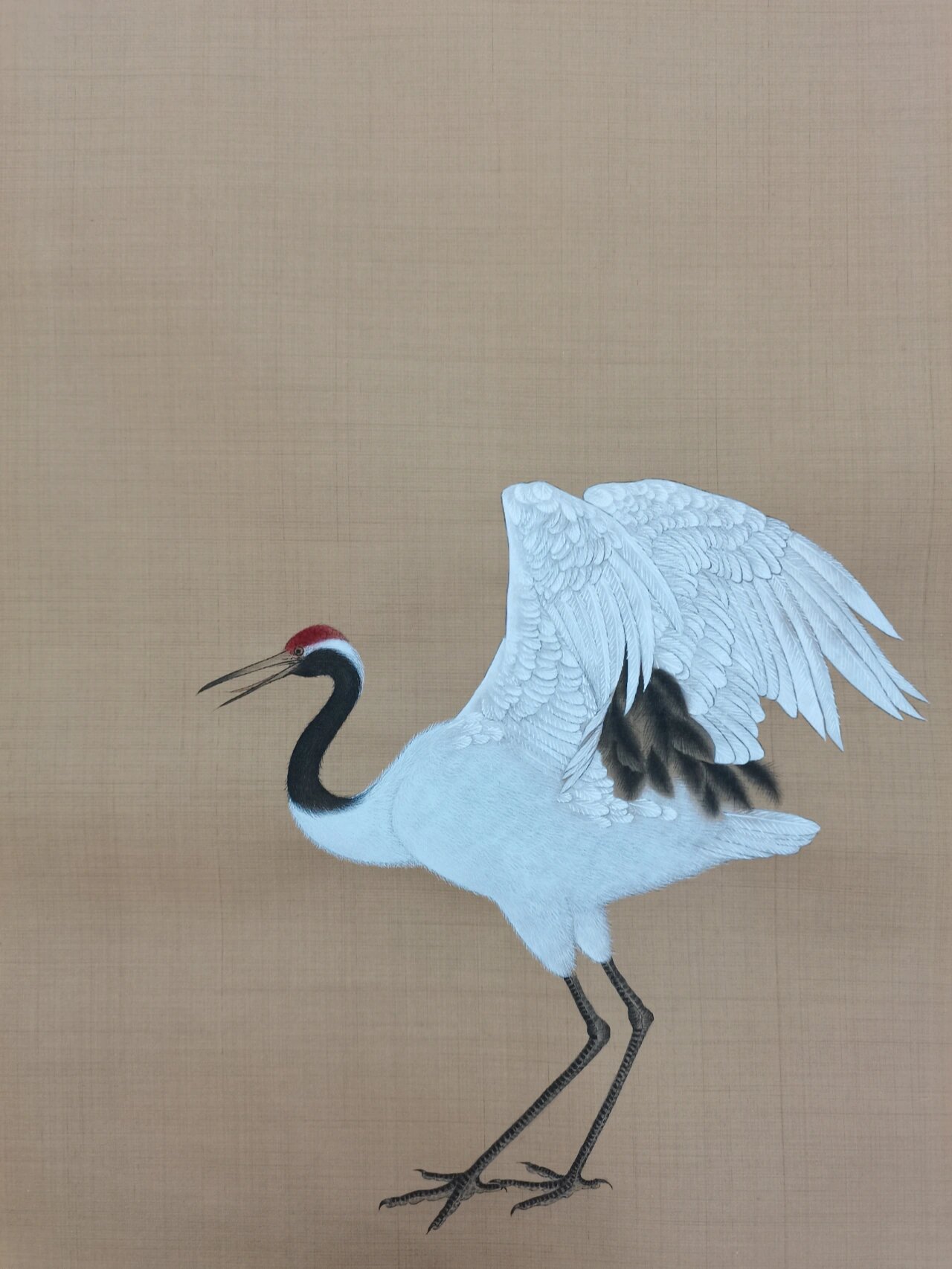 工笔 仙鹤 上色步骤@哇哇读书会的动态