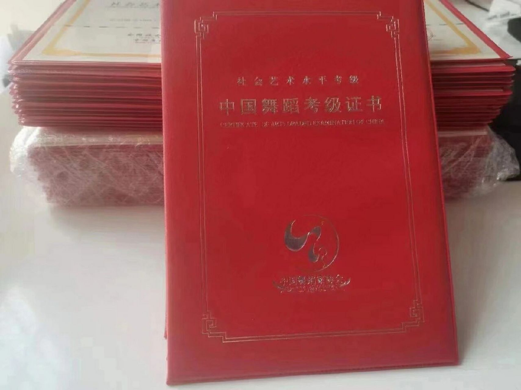 专业:中国舞 等级1-10级 下证时间:2-3个月左右出证书, 中国舞蹈家