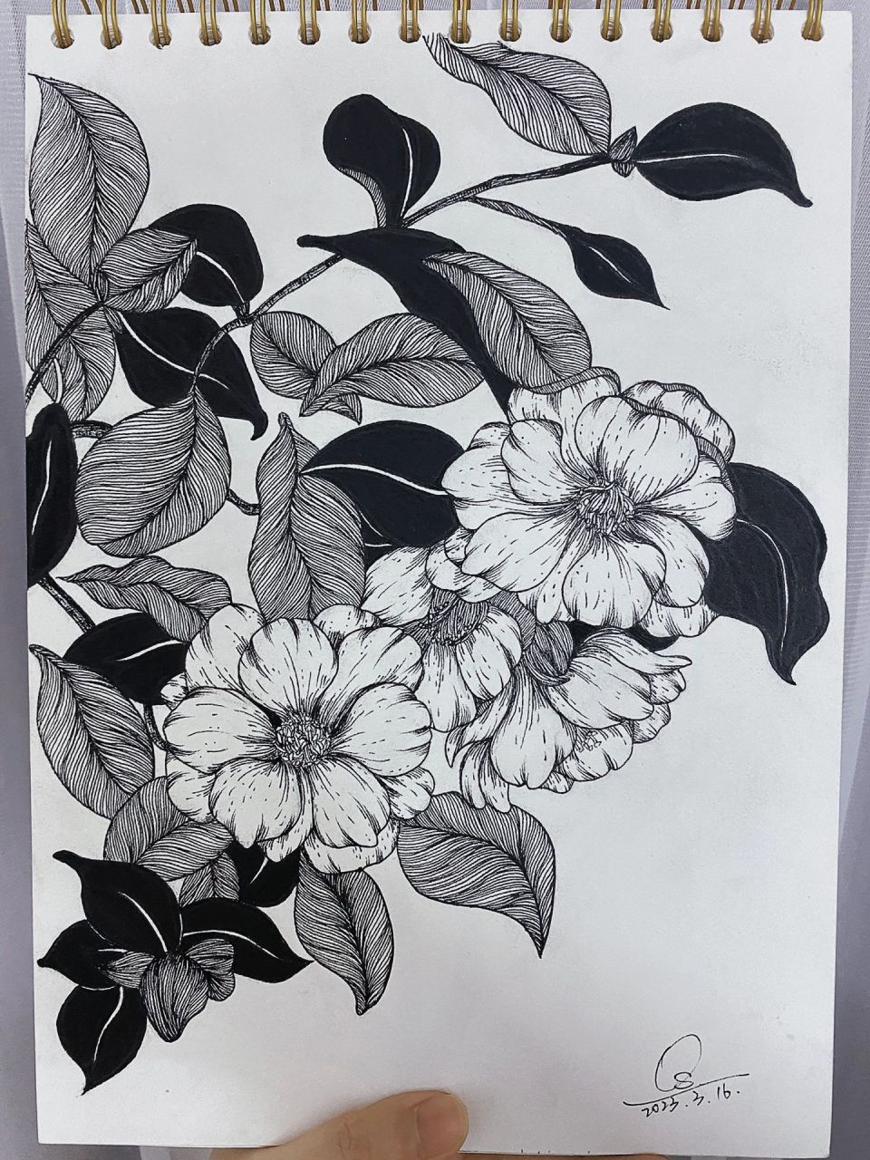 黑白画手绘|春天的浪漫,鲜花占一半!