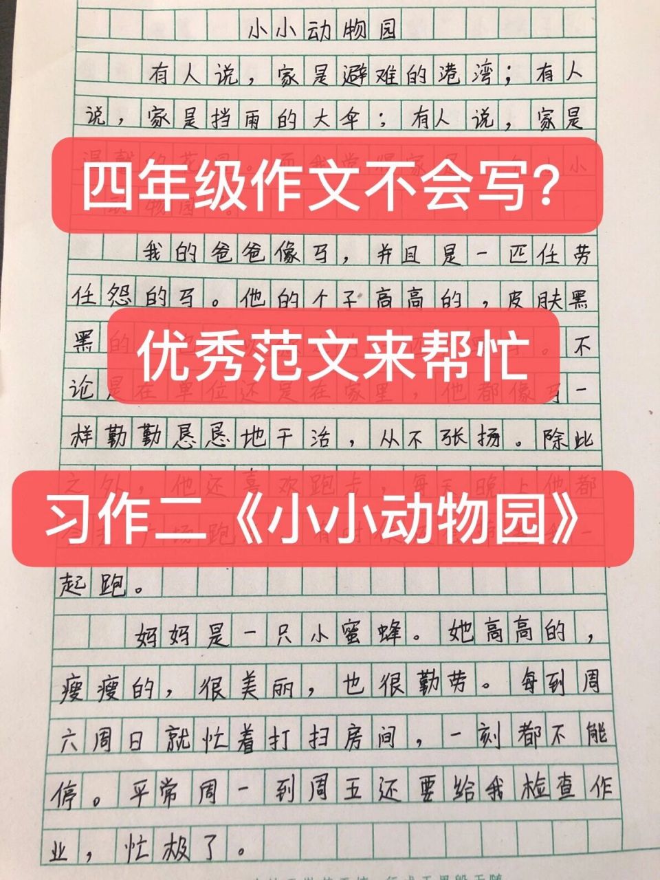 小小动物园200字图片