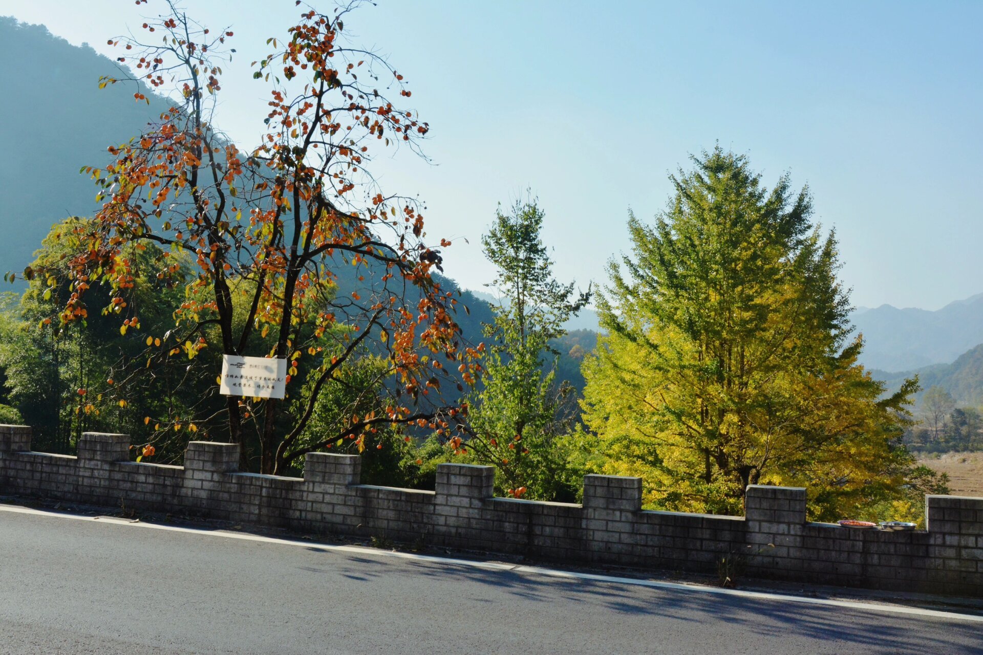 金寨马鬃岭自驾 10月30号出发到金寨住了一晚,31号出发去马鬃岭,一路