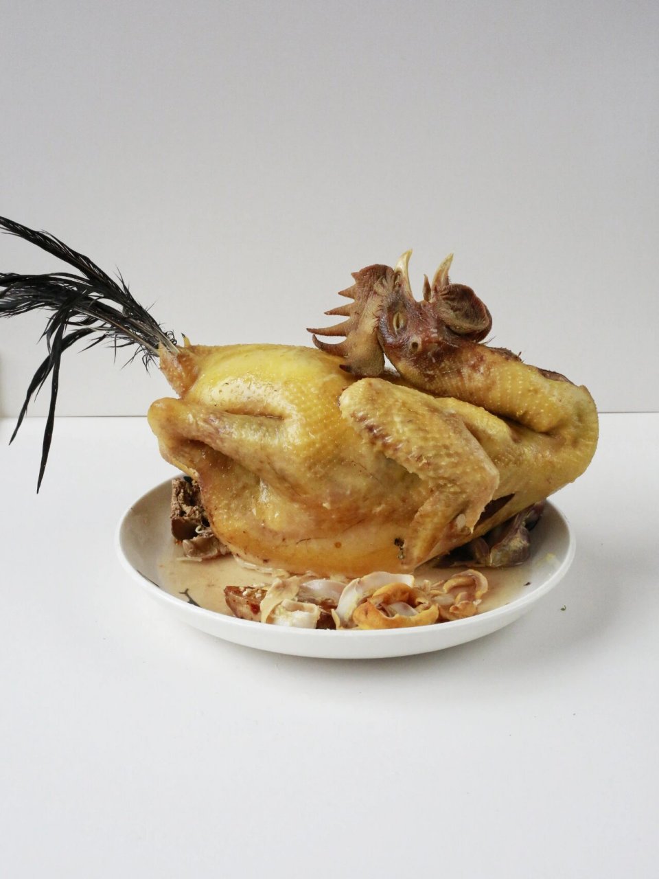 美术生绘画素材1000期～(3)拜神鸡 绘画素材:拜神鸡