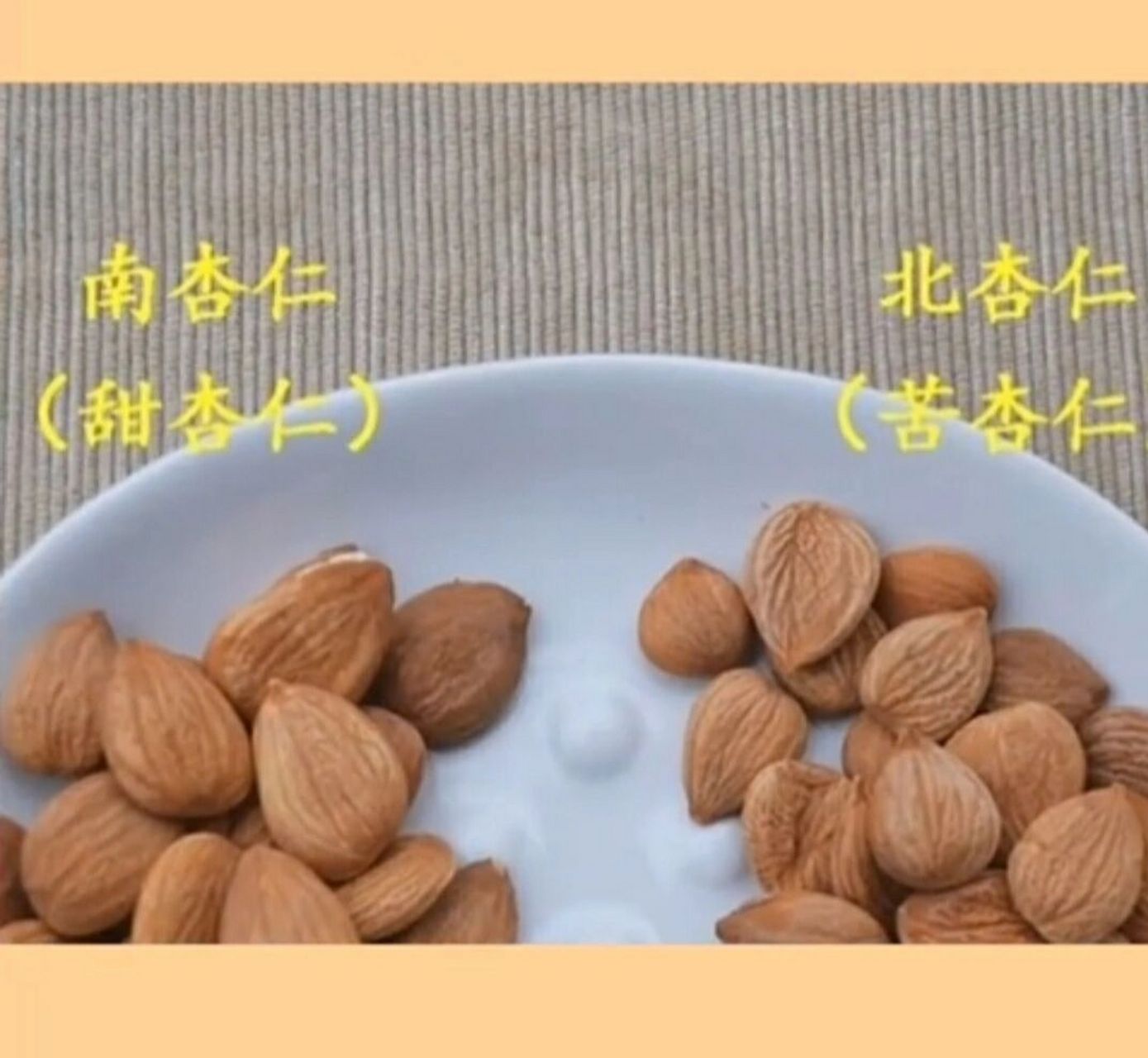 分清南杏仁和北杏仁 杏仁主要有两种:南杏仁和北杏仁.