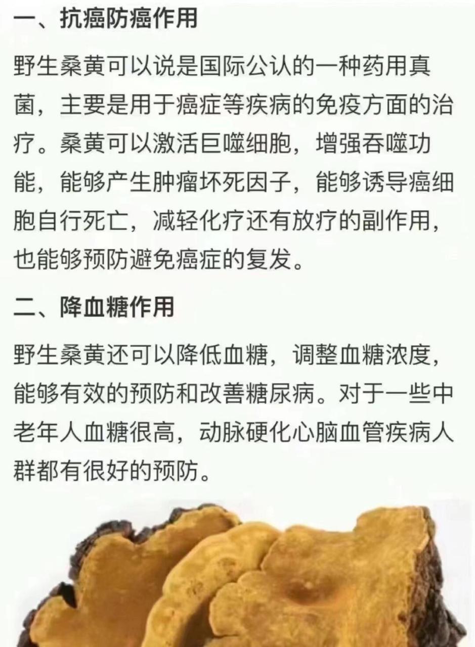 桑黄功效 36615肿瘤癌症人群: 提升:四大核心免疫细胞; 防突变,防