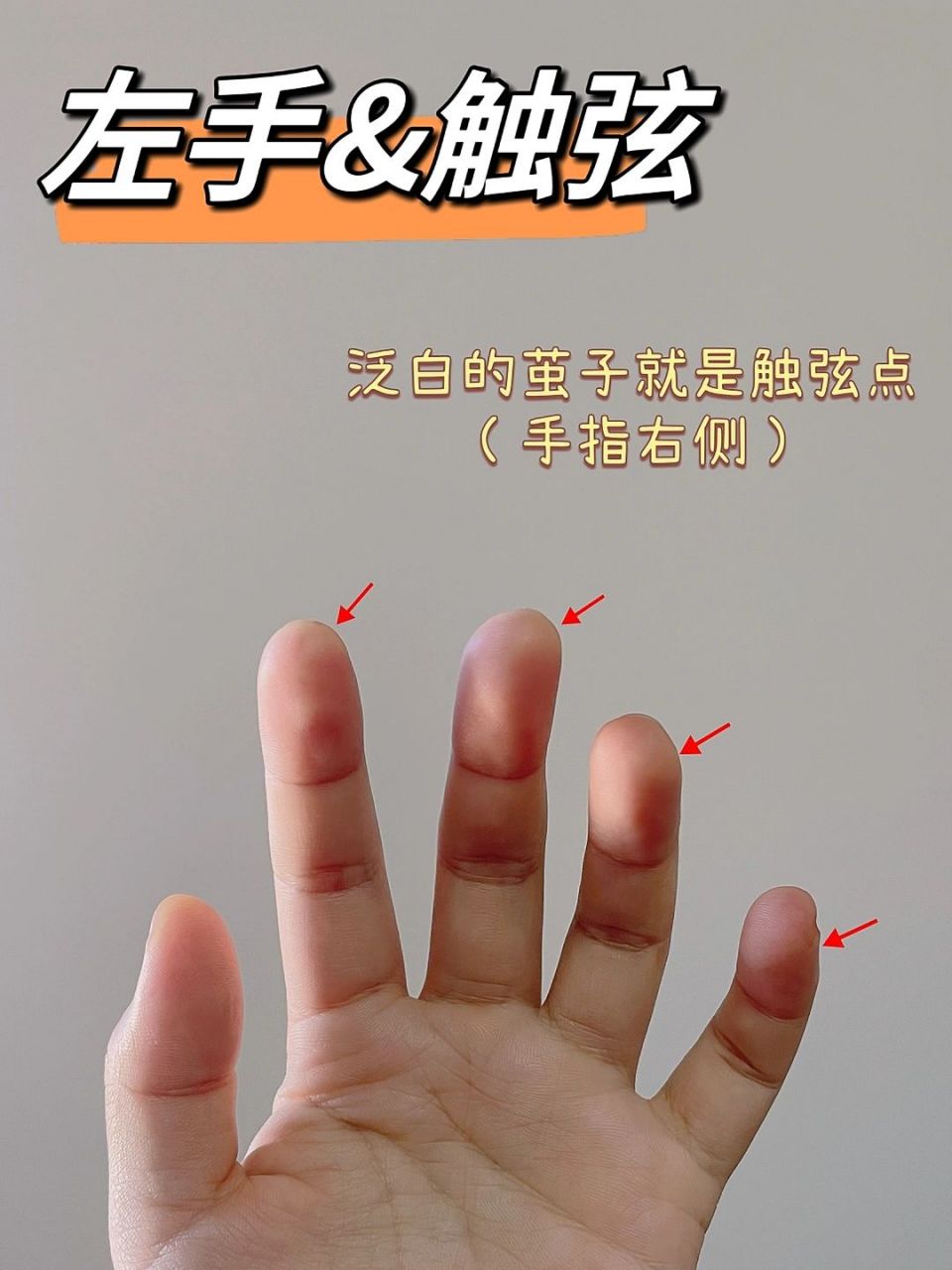 二胡|左手触弦位置 想要找到正确的触弦位置,需要先有正确持琴手型.