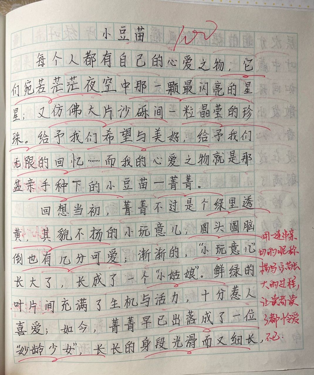 五上 第一单元作文——我的心爱之物