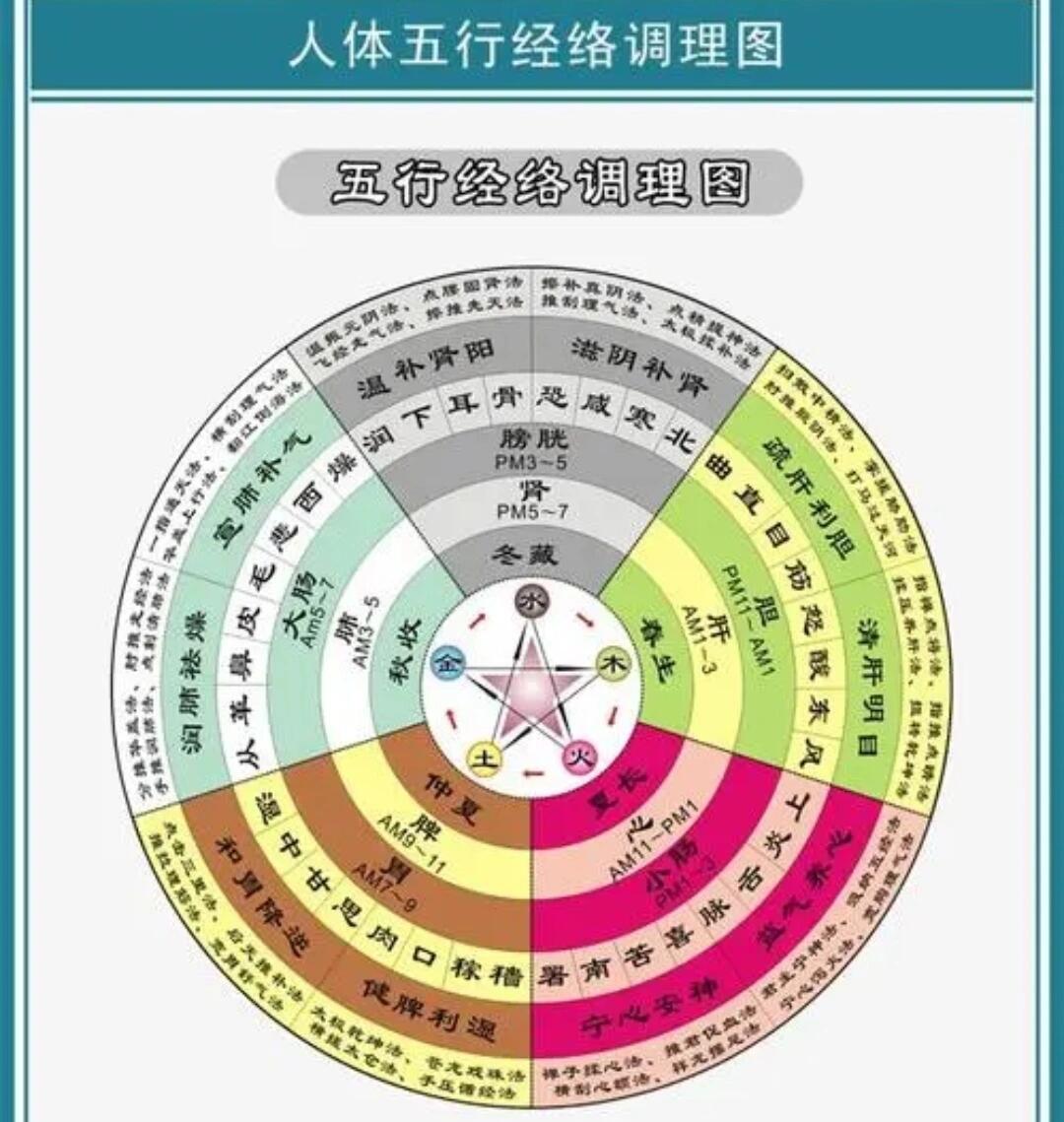 哈慈五行针治疗图解图片