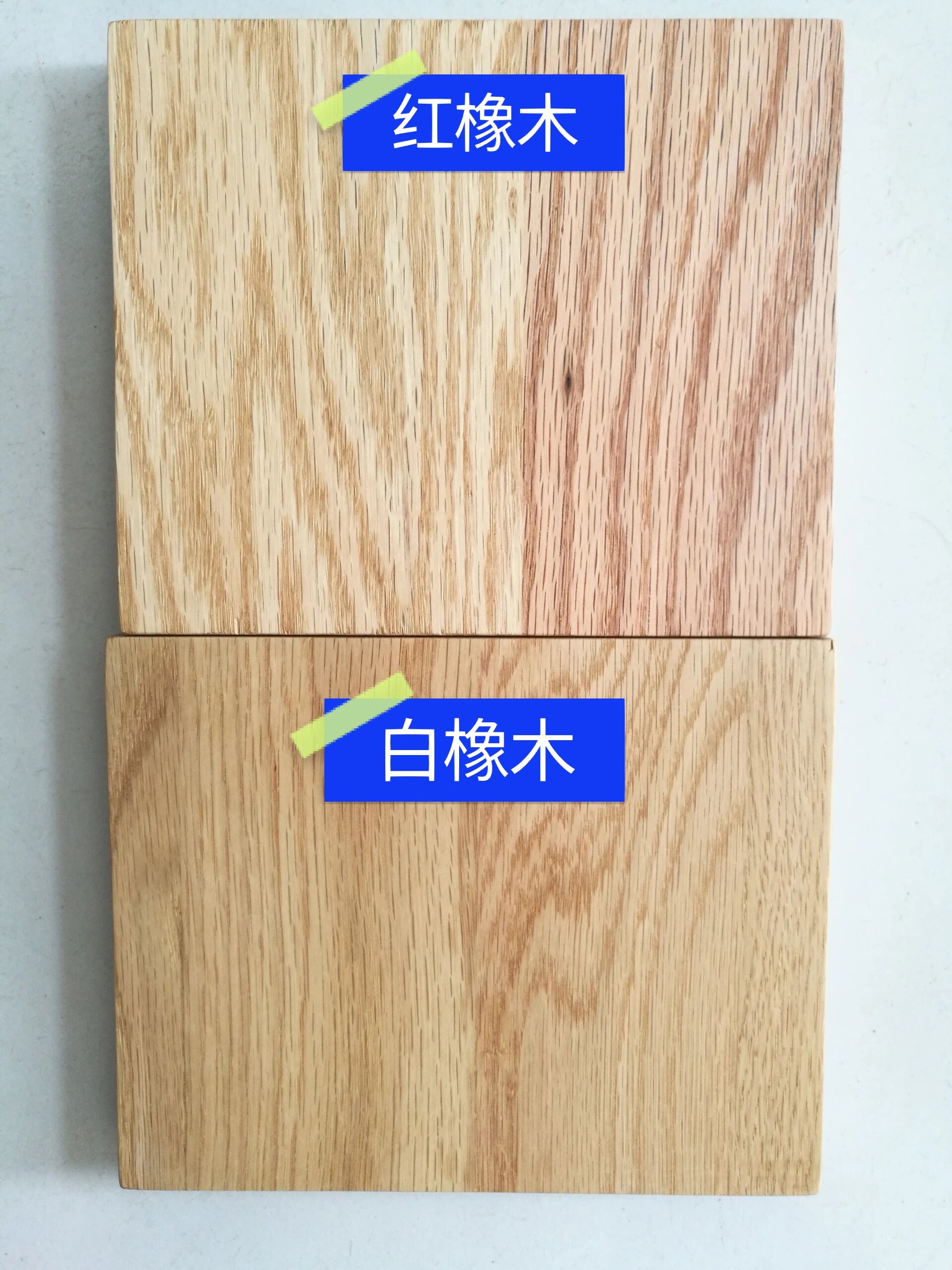 橡木常见骗局 北美橡木有两种,1 白橡木【白栎木】 2 红橡木【红栎木