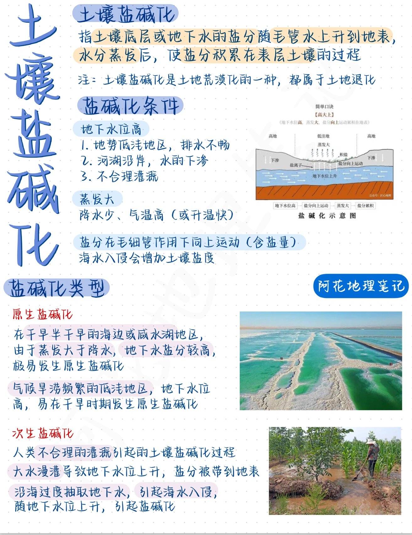 【高中地理-微专题】土壤盐碱化