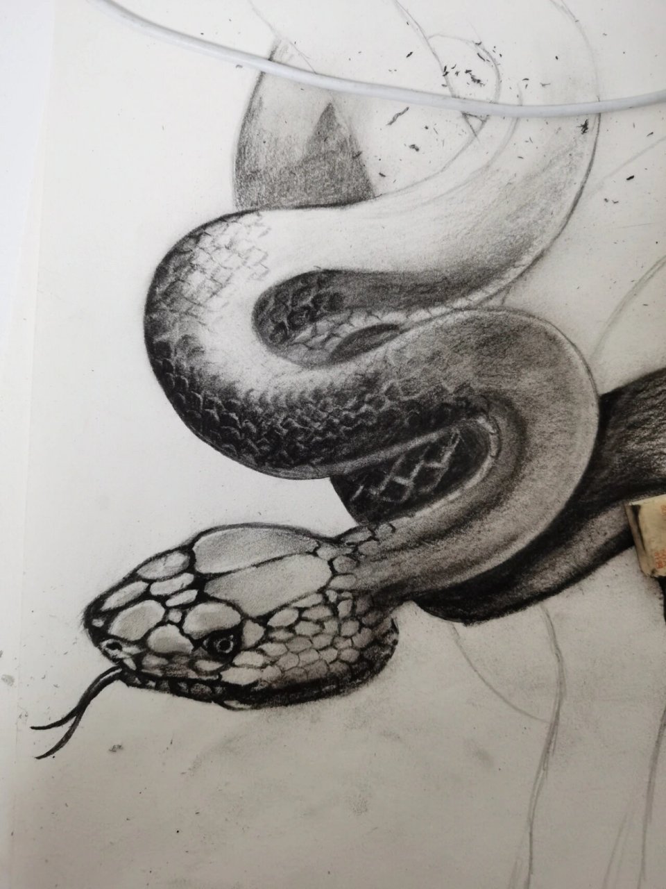 蛇97 素描