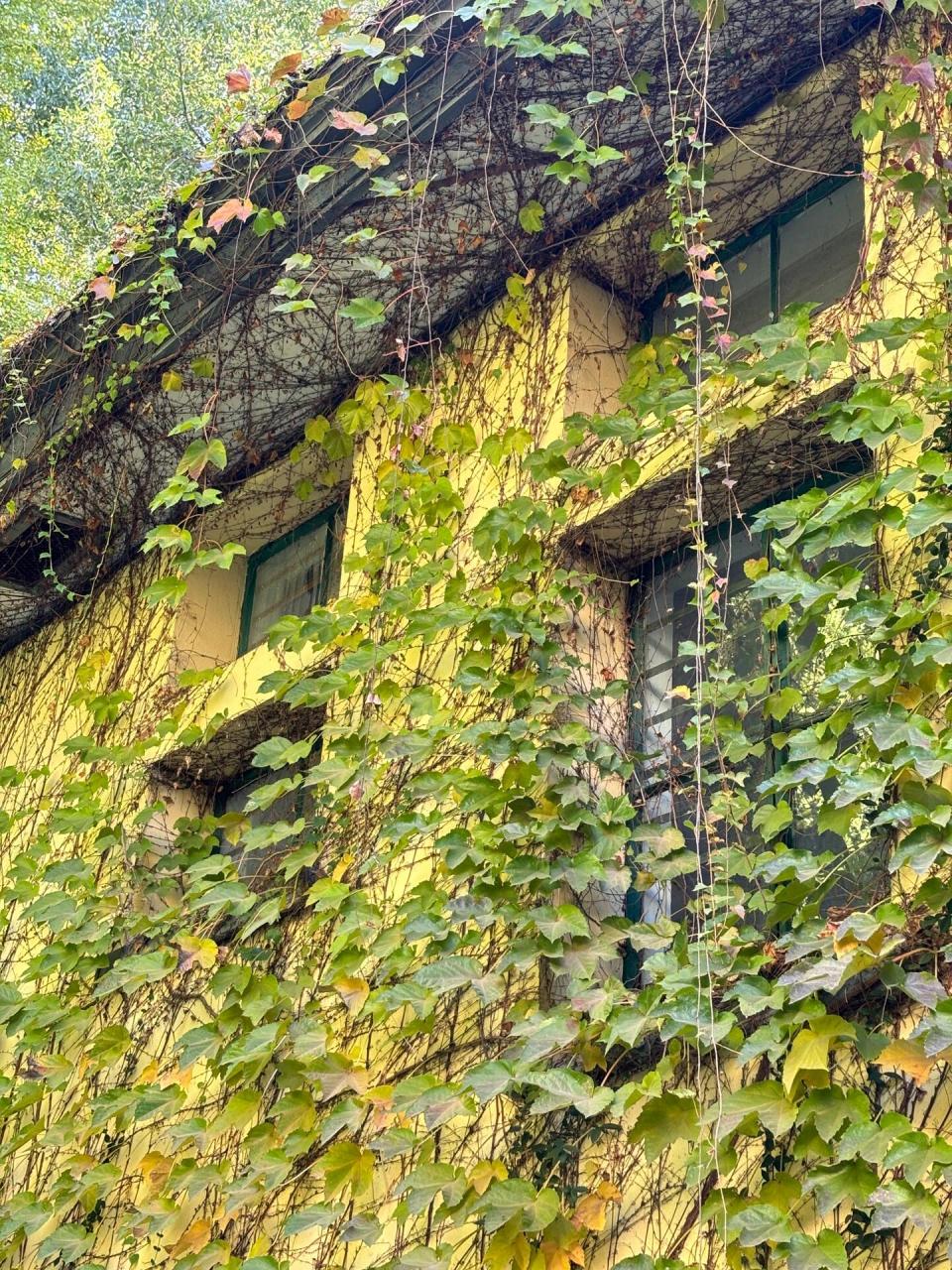 河海大学(西康路校区) 上周有个考试,第一次去了河海大学西康路校区.