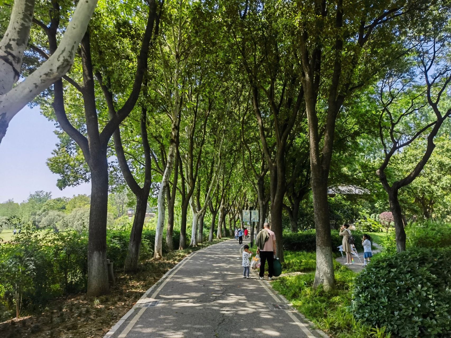 汤湖公园:武汉沌口的休闲好去处 公园位于武汉经济技术开发区(沌口)内