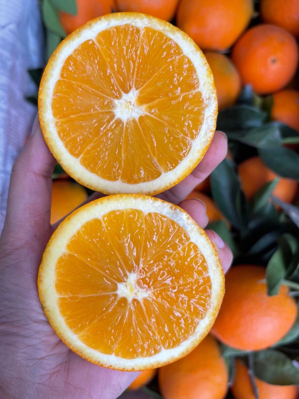 攀枝花纽荷尔脐橙手剥橙高品质水果 纽荷尔甜橙92天然的维c橙汁 它