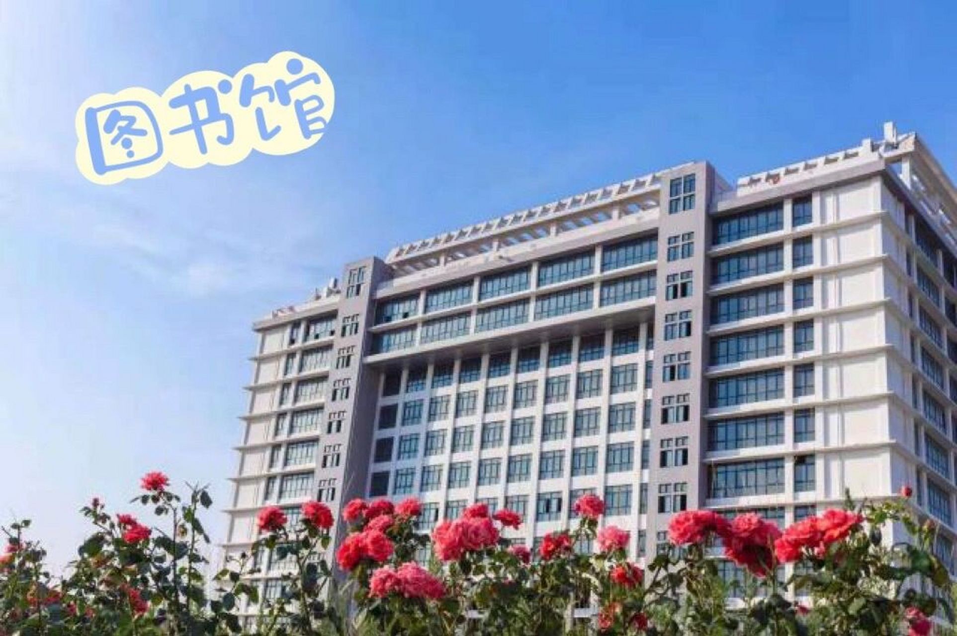学院前身最早可追溯到1959年创办的平顶山市师范学校