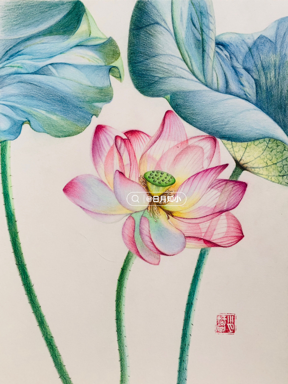 我的这幅荷花,右边荷叶借鉴了的(水彩荷花)画法,谢谢; 97纸:获多福