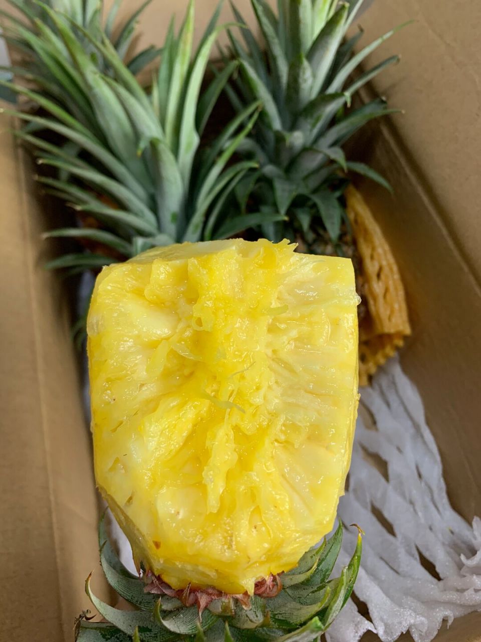 巅峰口感金钻凤梨,巨甜巨好吃～可不能错过!