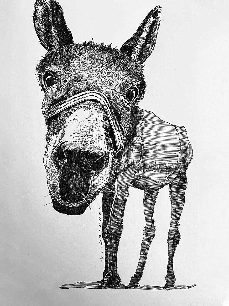 毛驴|钢笔手绘速写 来只小毛驴
