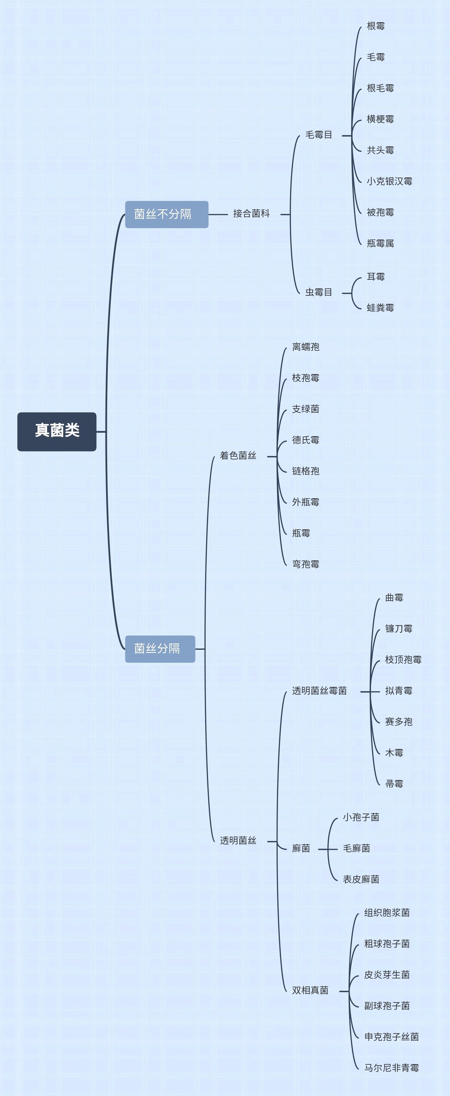 爬行类思维导图图片