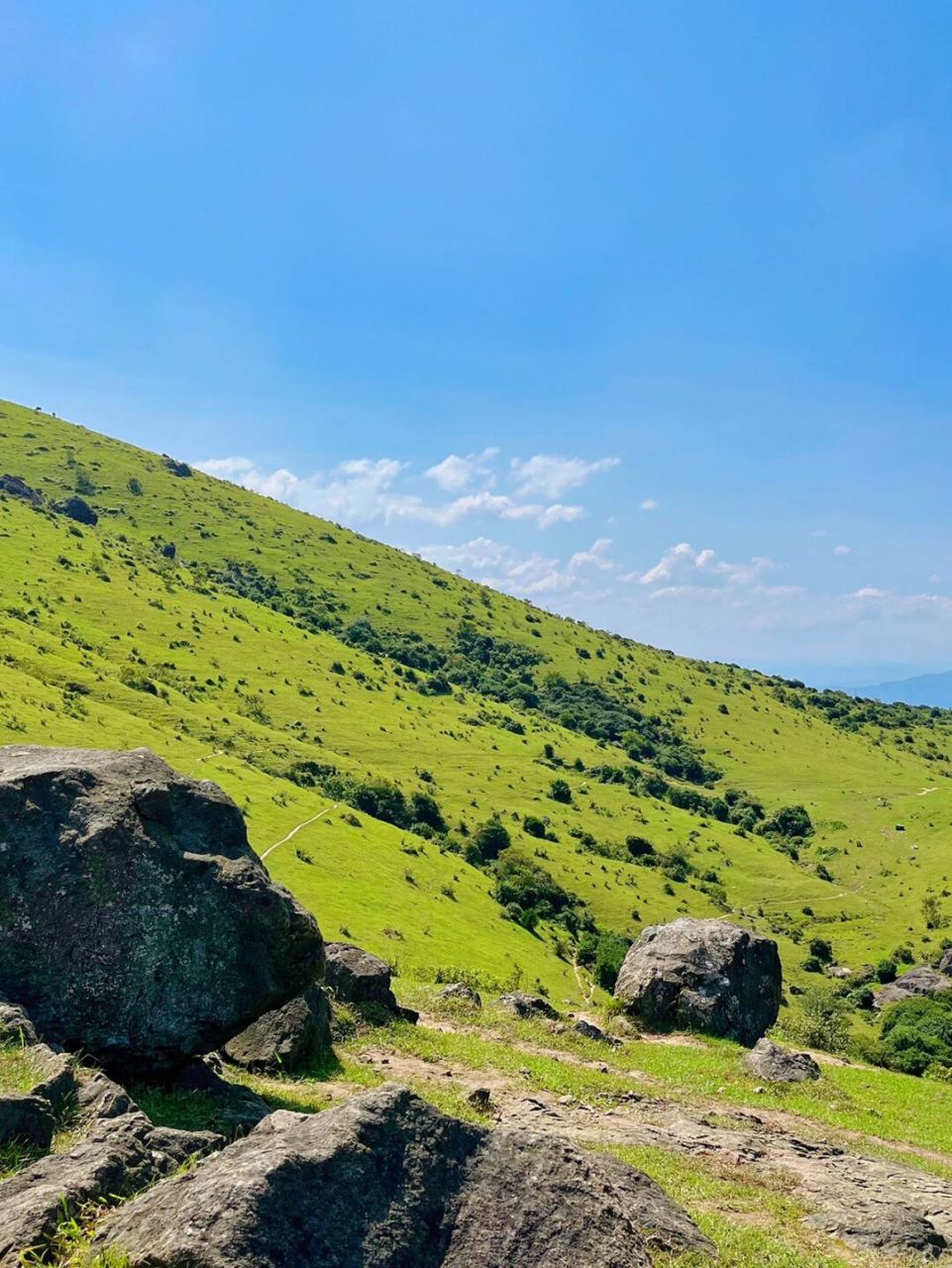 不用去瑞士的草场 在福州也能看到天然大草场 这里的空气都是青草的