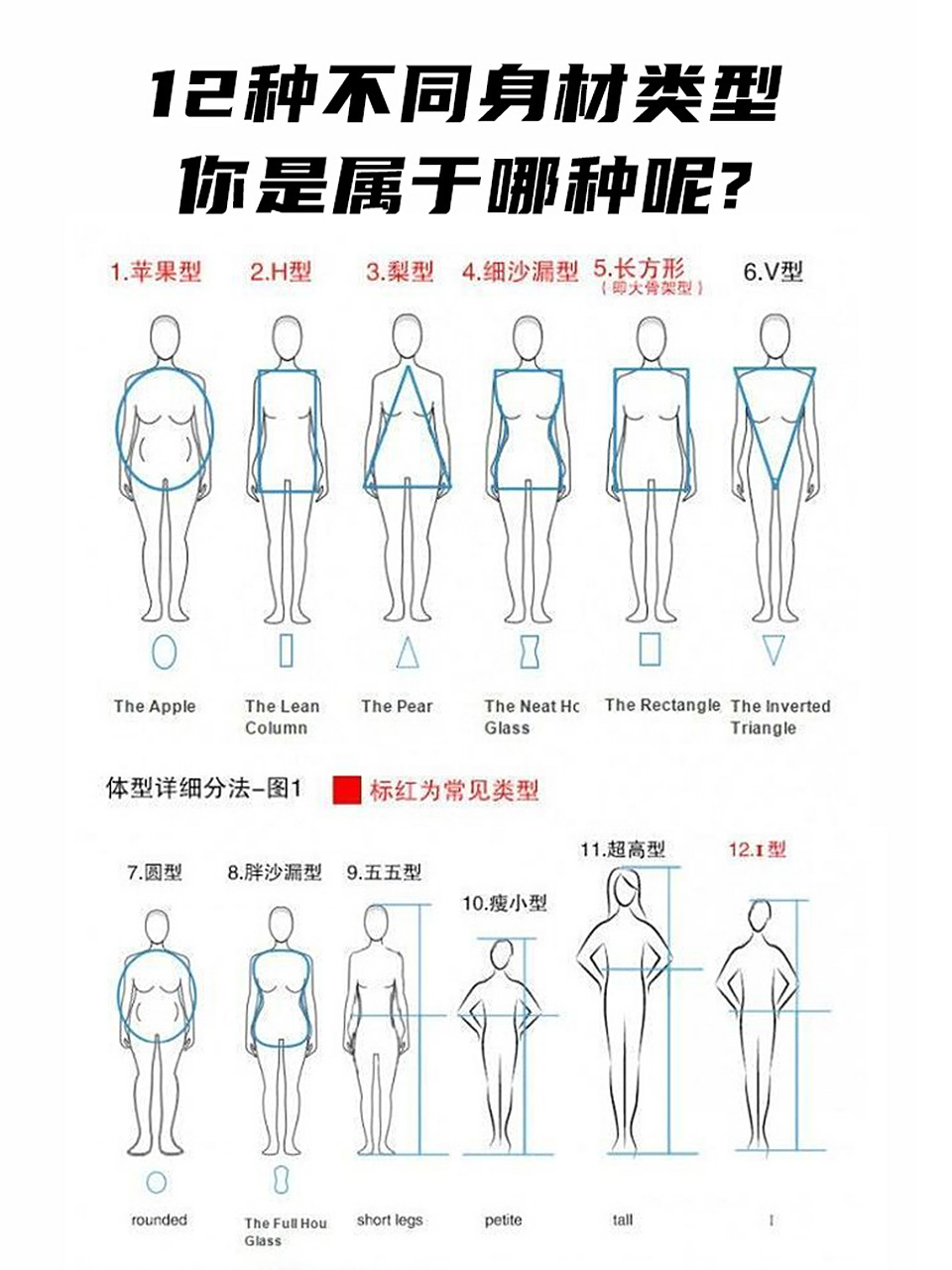 12种身材类型7515你觉得哪个最美7515 1,苹