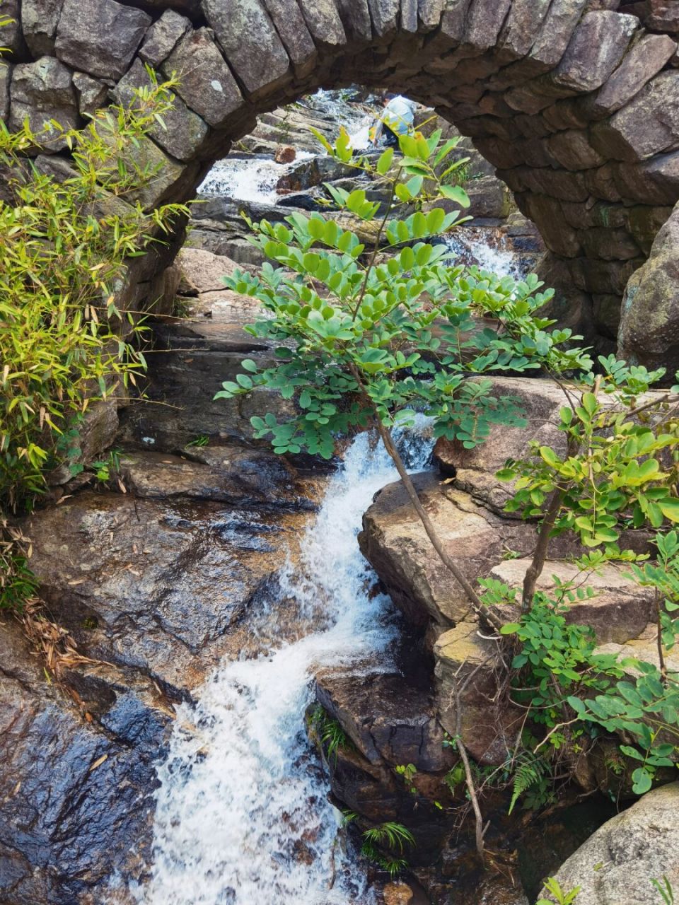 夏天到了,在选择徒步路线,必须带点水 这次来到了慈溪栲栳山,路上长度