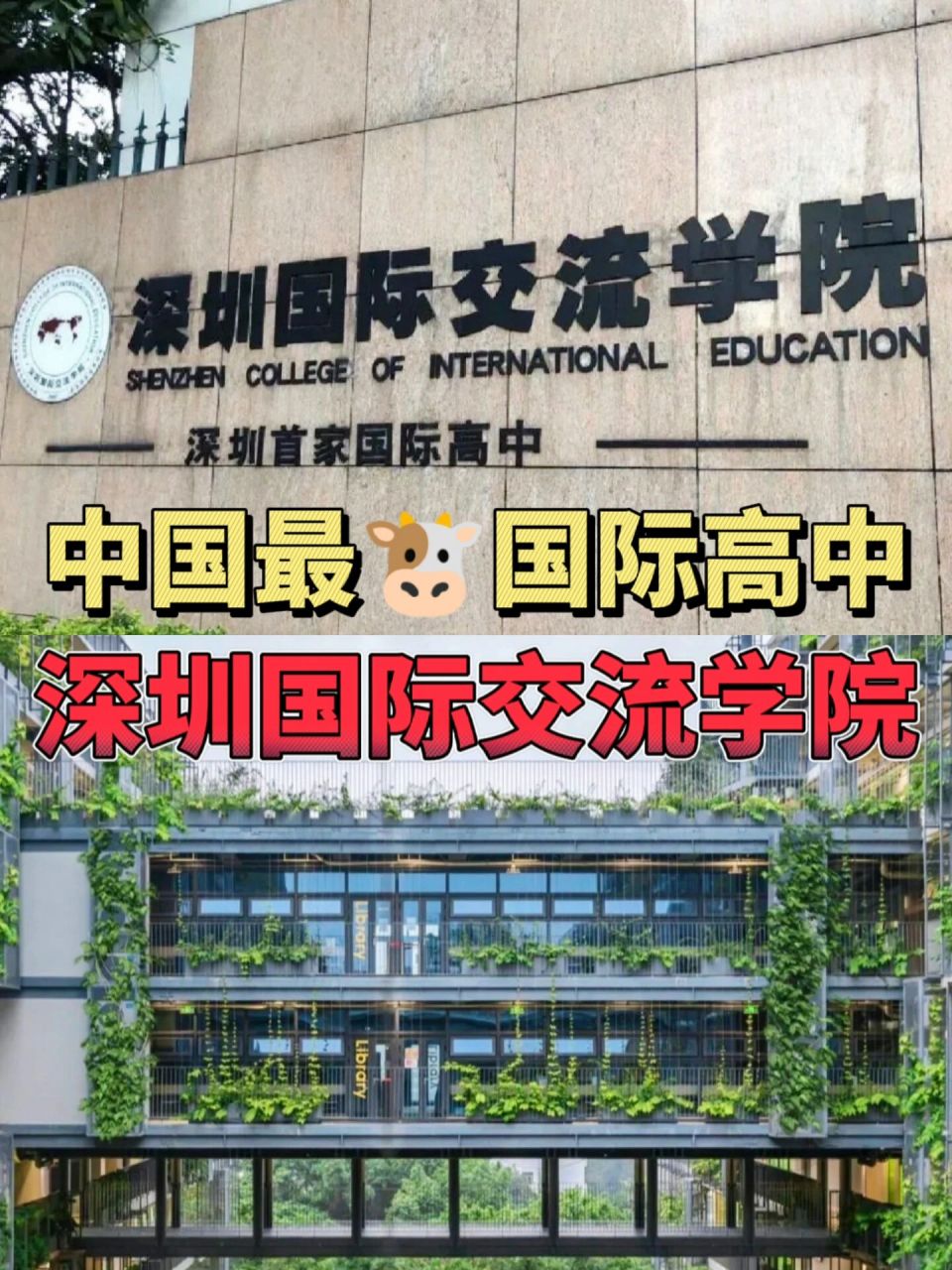 中国最90国际高中—深圳国际交流学院93 7415老牌名校"深圳