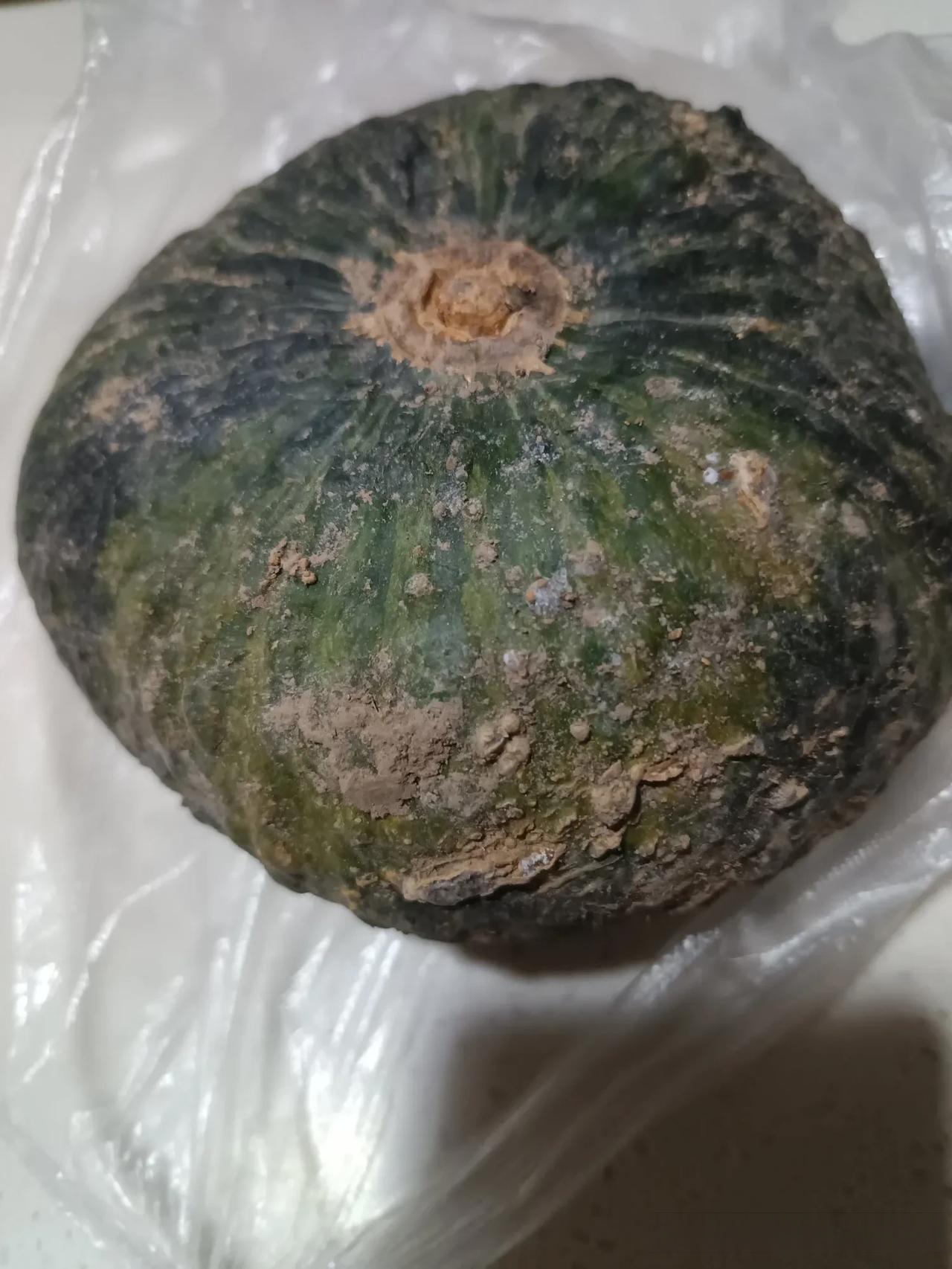 另一个先放放,过些日子不知道能好吃点吗? 南瓜还是要吃老南瓜