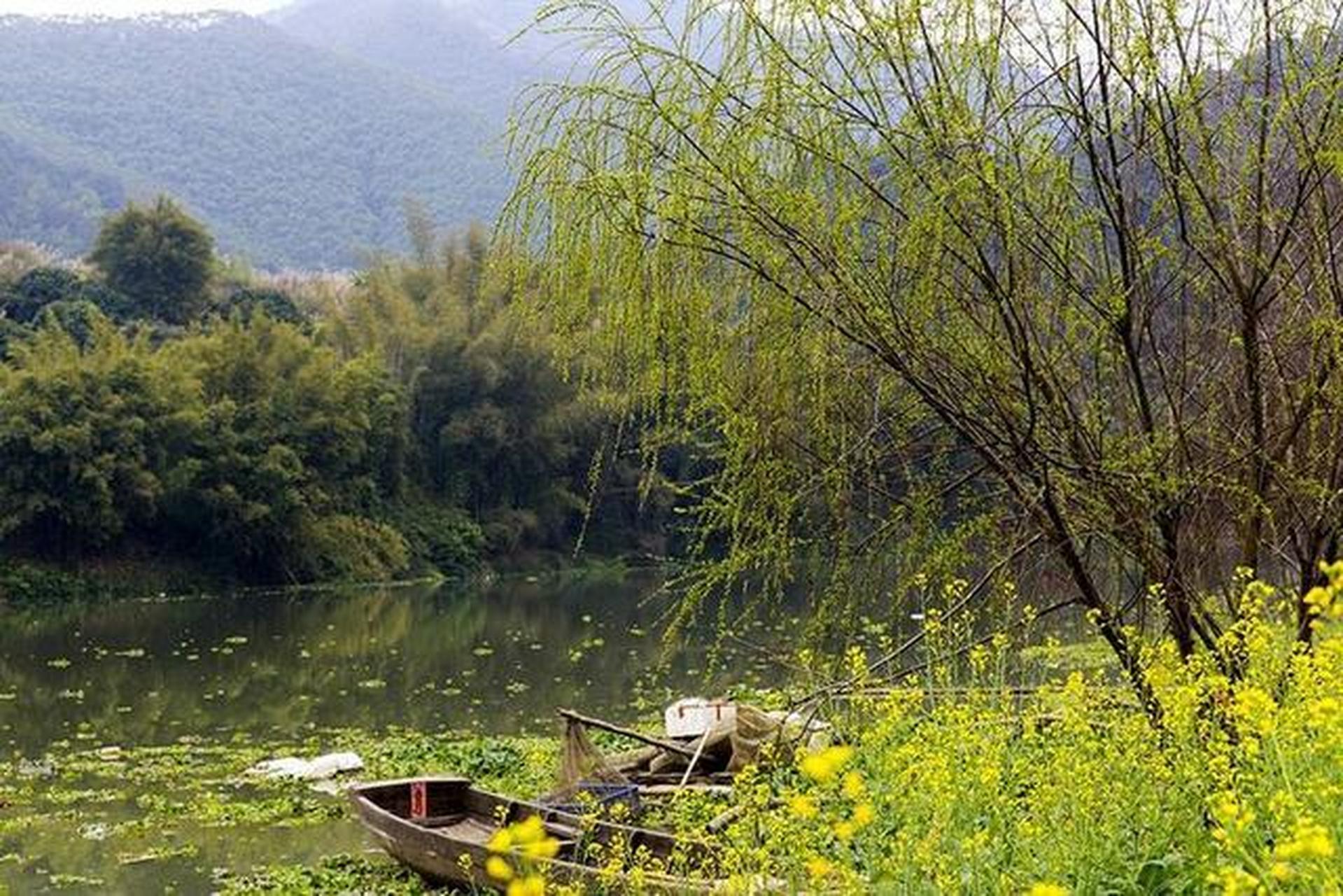 《釣魚灣》 儲光羲 〔唐代〕 垂釣綠灣春,春深杏花亂.