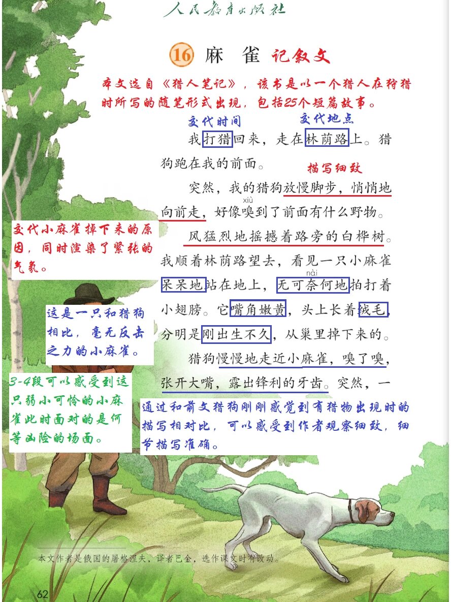 麻雀与猎狗图片