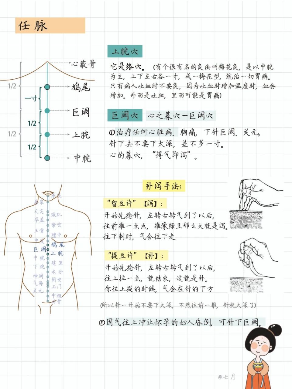 上腕的准确位置图图片