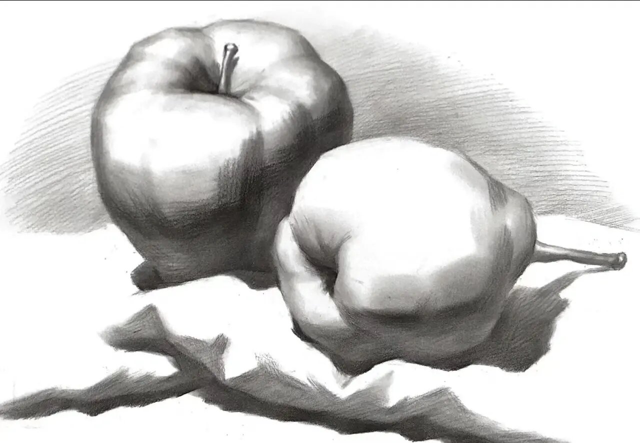 静物素描,苹果梨组合