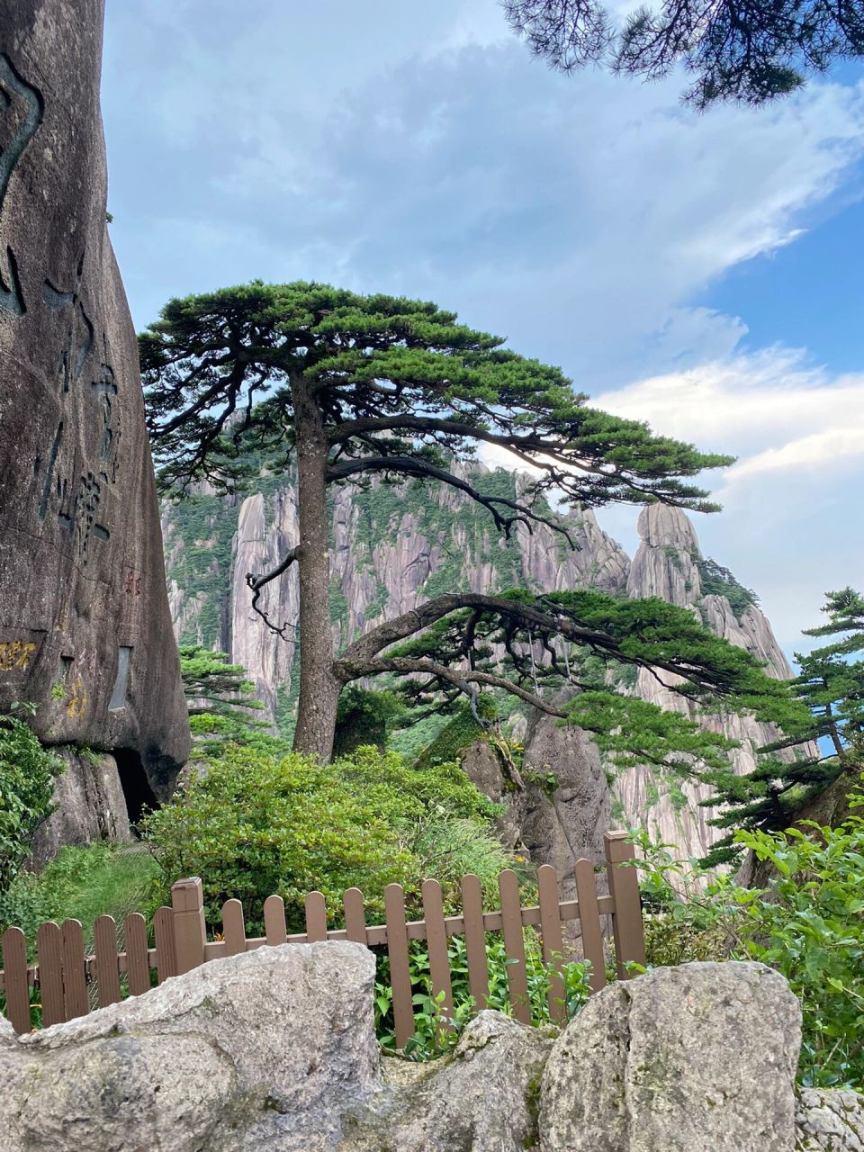 迎客松原来真长这样呀