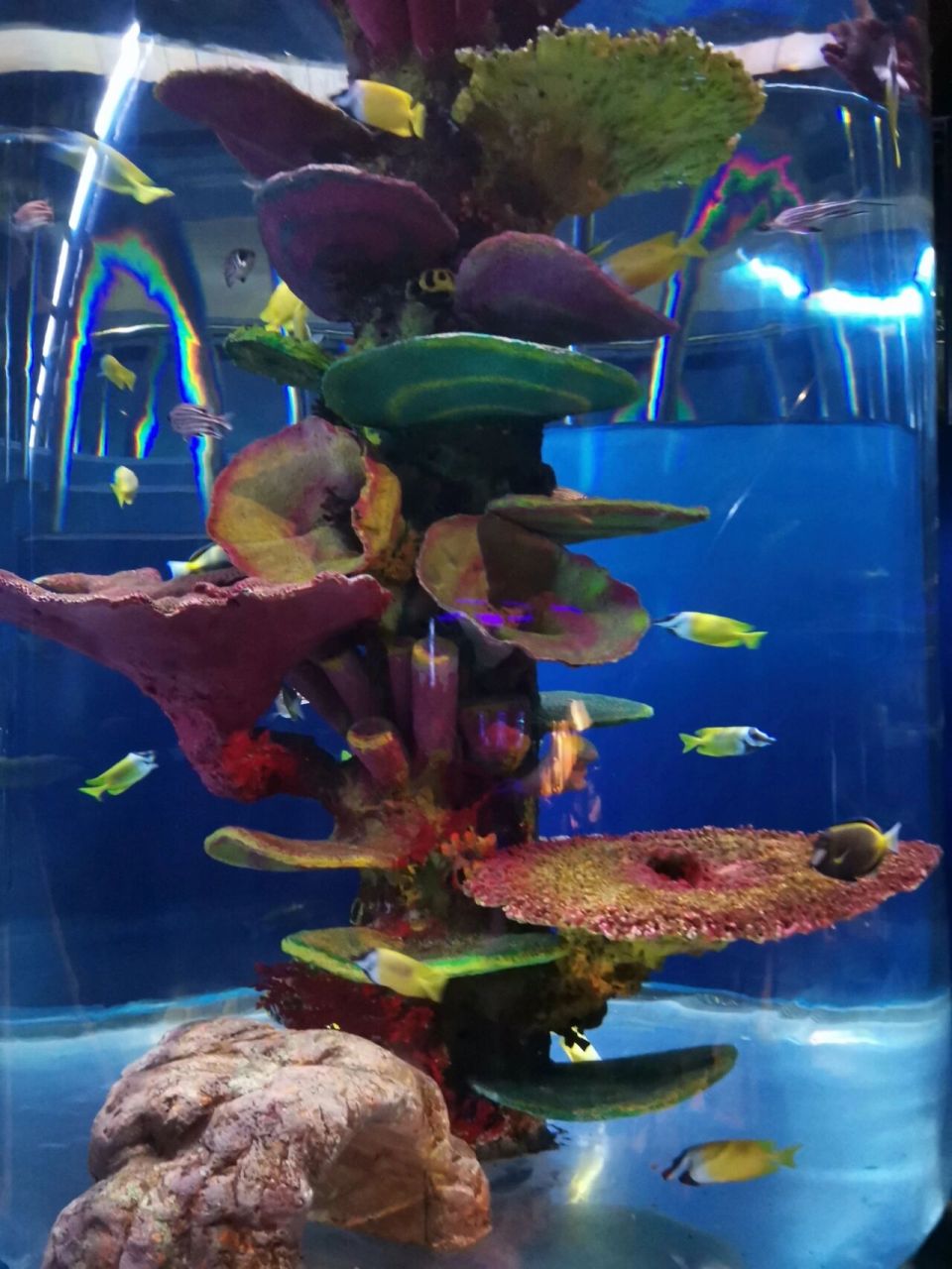 去宁波海洋世界游玩便是正确的打开方式!