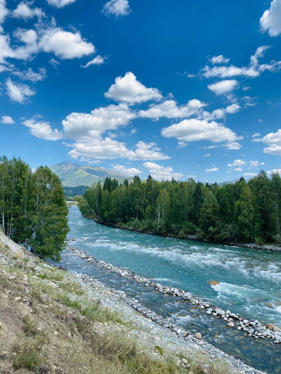 如果有时间 | 阿勒泰·禾木 想拥有一整个夏天,于是我又回到了禾木
