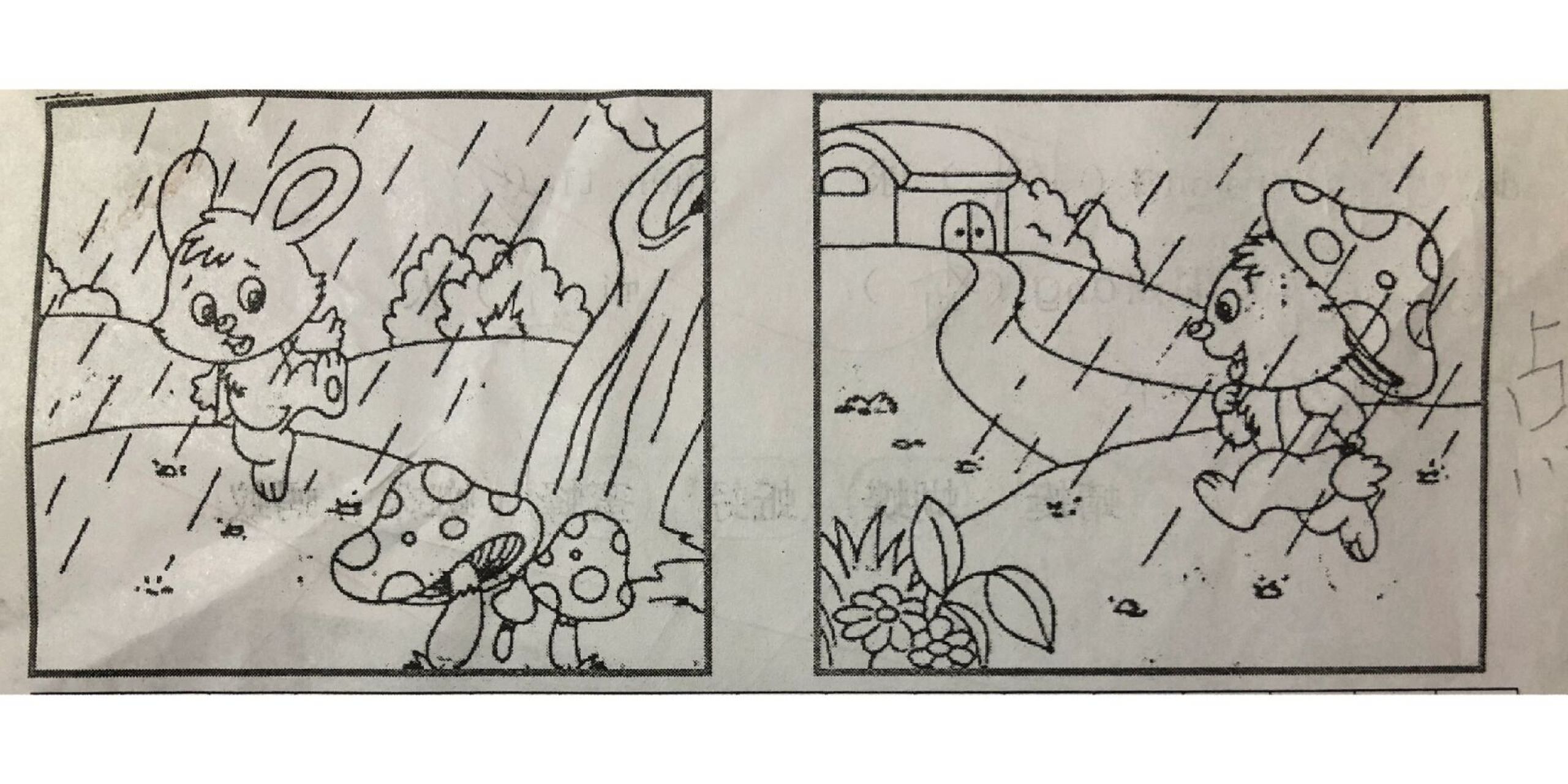 一年级看图写话:《蘑菇伞》