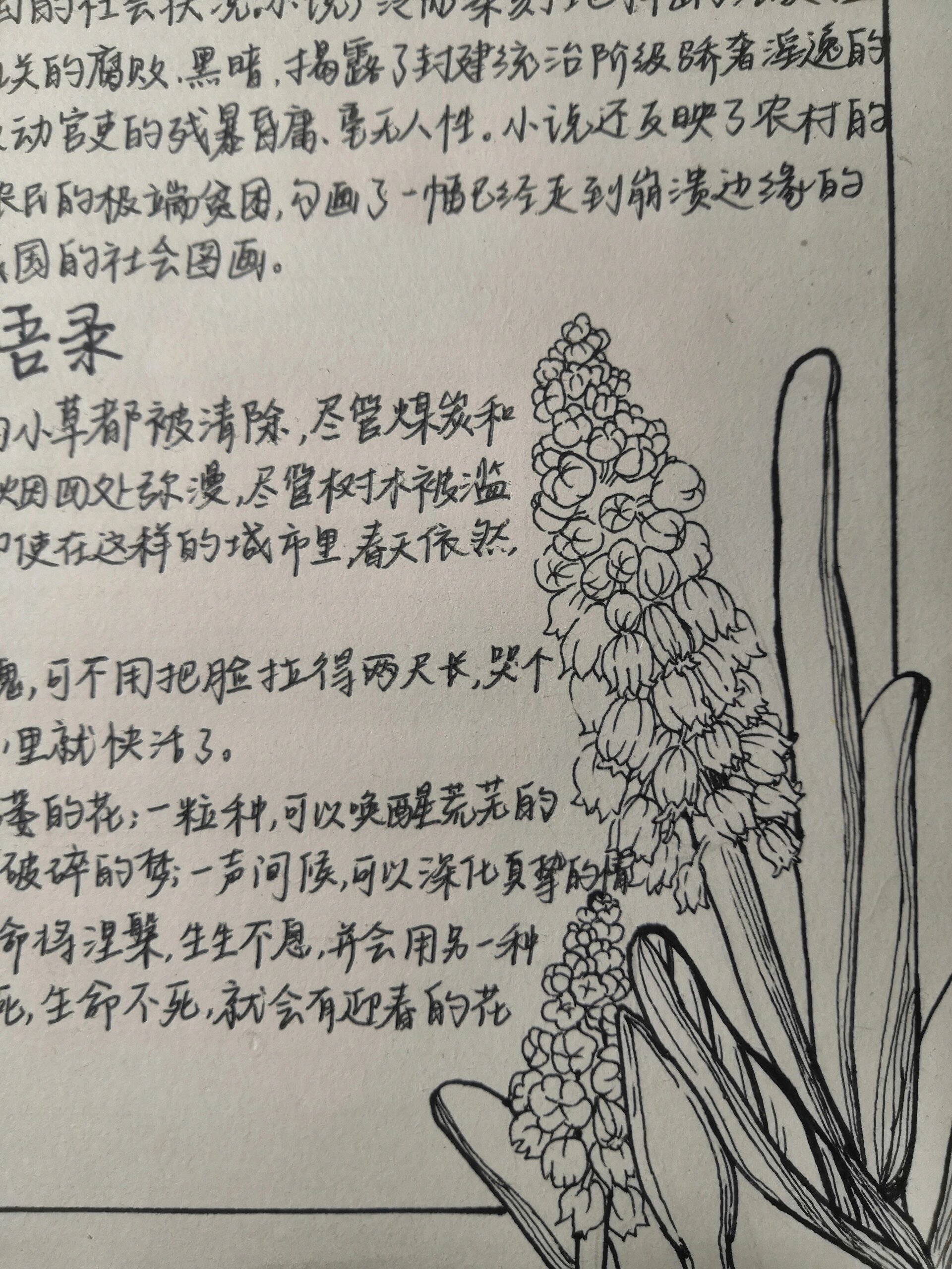 《复活》手抄报