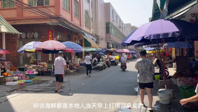 阳江闸坡海鲜市场好多种类的海鲜