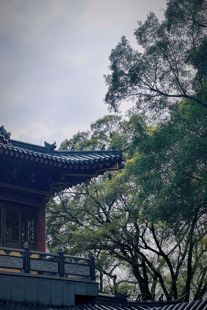 柳州开山寺 | 听寺庙里的禅音 柳城凤山县的开山寺,每逢初一十五都会