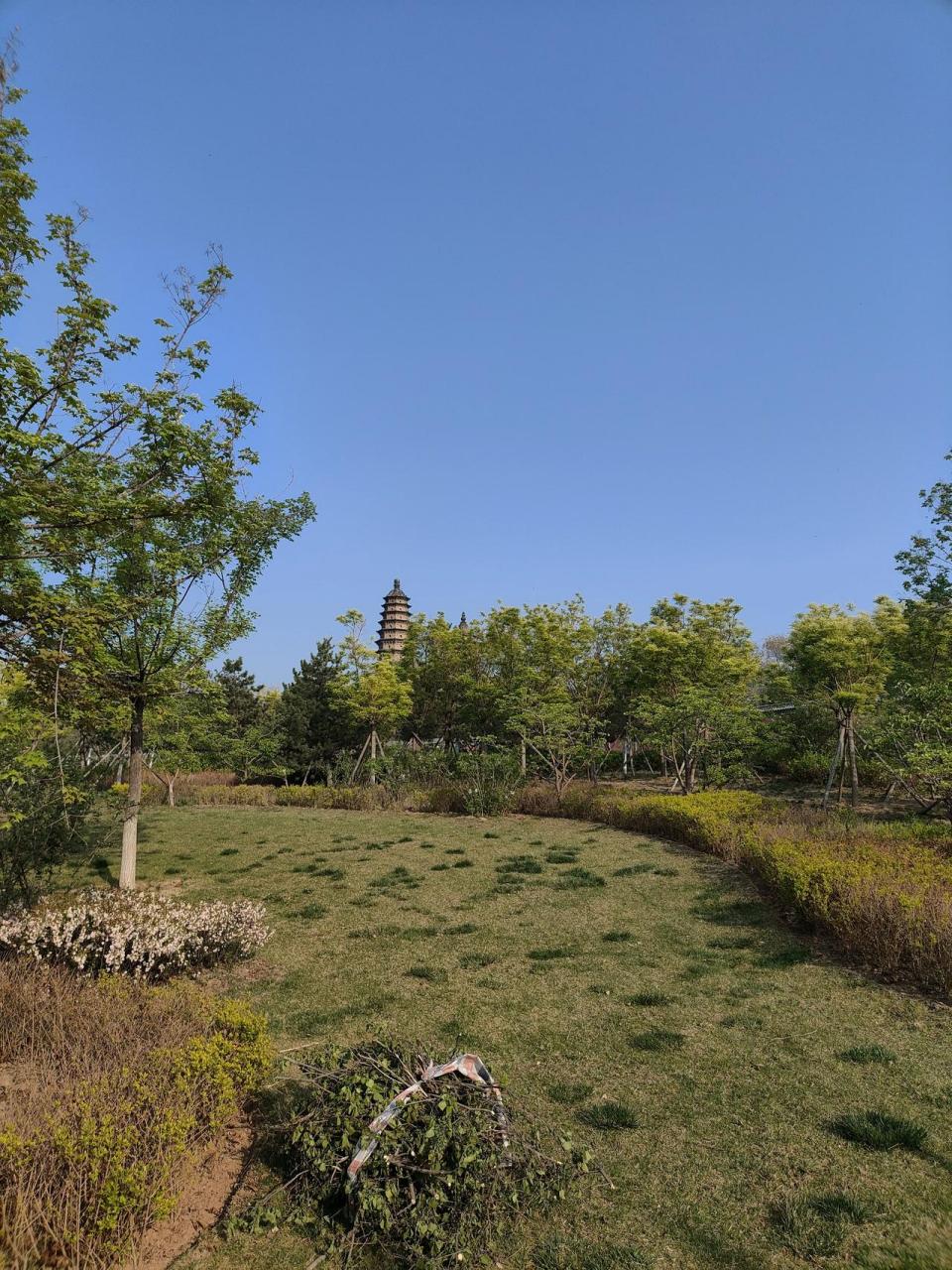 星期天休息下带上欣欣来双塔公园转一圈,新修后的双塔寺焕然一新给