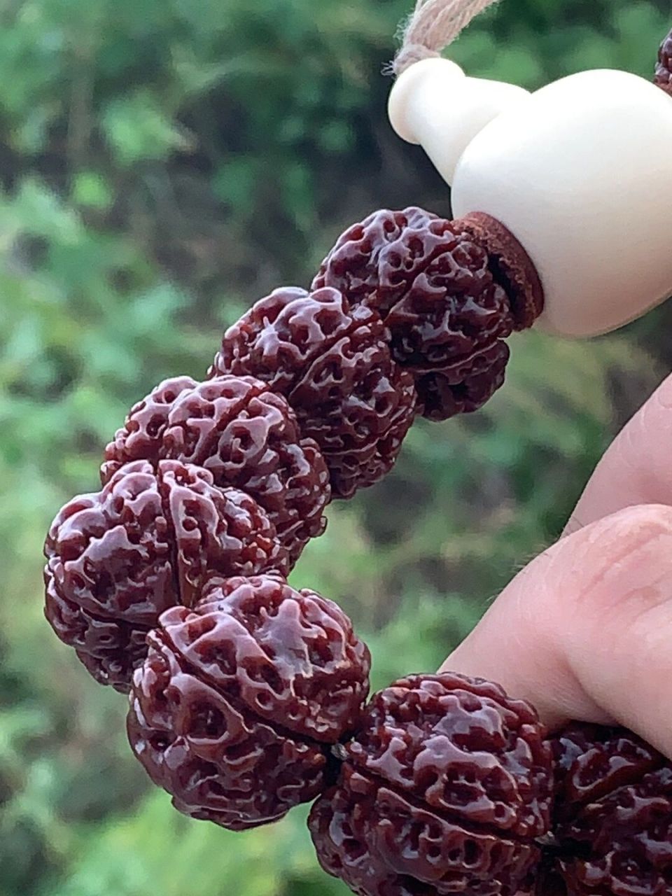 金刚菩提的岁月痕迹 很多玩家追求的是金刚怎么包浆 怎么上色 怎么变