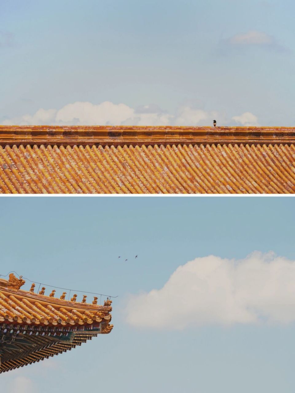 02100种故宫传统色(2) 【碧落】 青山有雪谙松性,碧落无云称鹤心